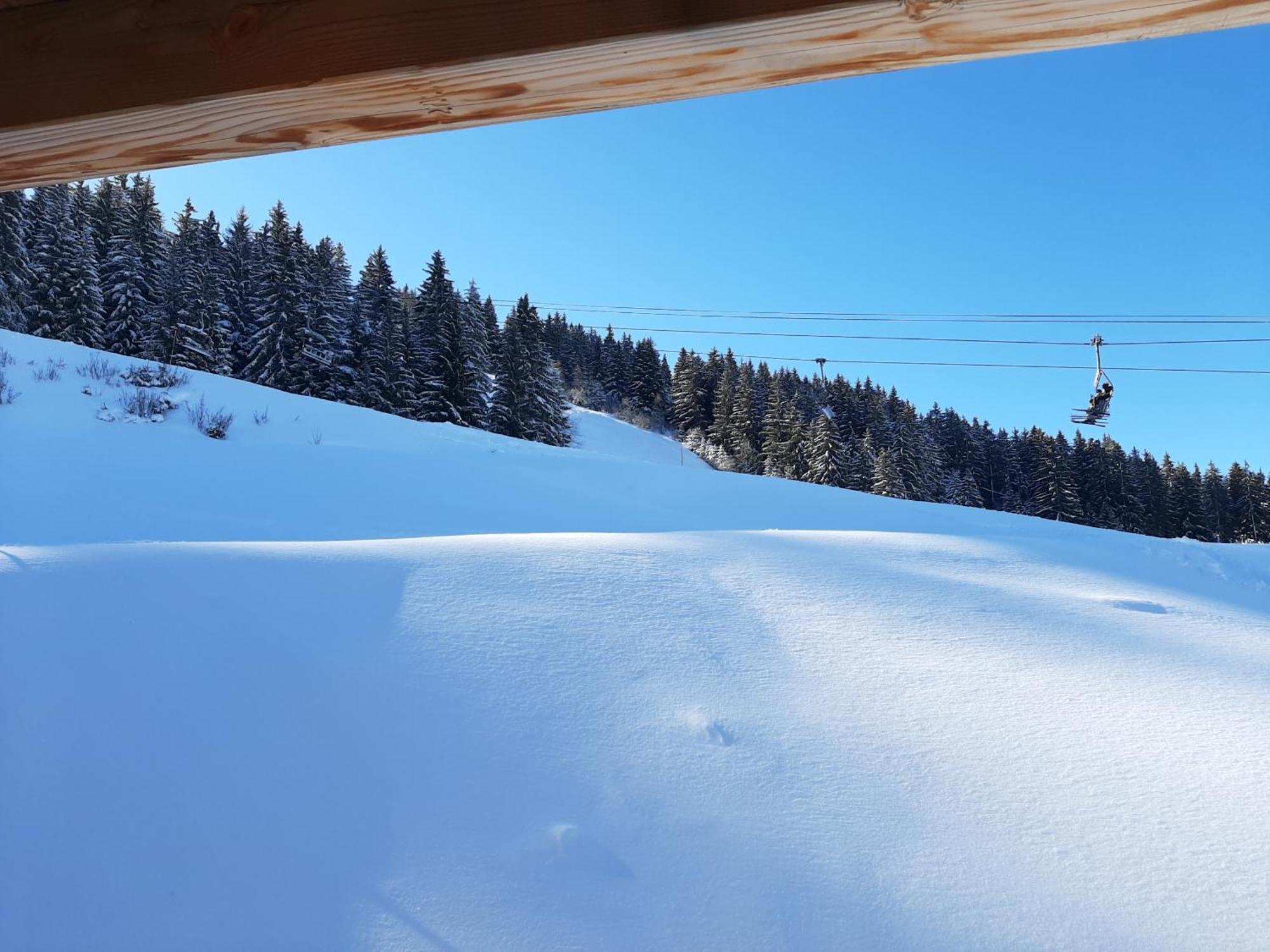 פראפוטל Les 7 Laux Immobilier Chalet F מראה חיצוני תמונה